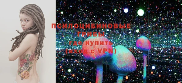 гашик Алзамай