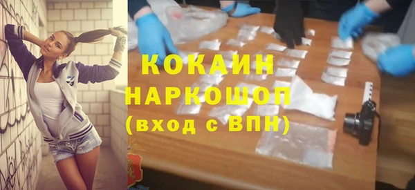 гашик Алзамай