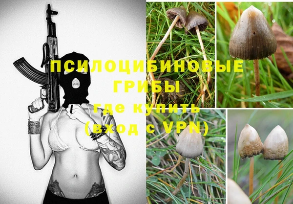 гашик Алзамай