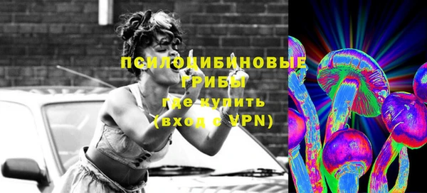 дмт Алексин