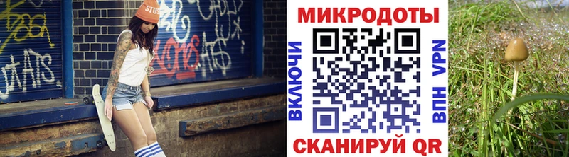 маркетплейс клад где купить наркоту Петушки Галлюциногенные грибы прущие грибы